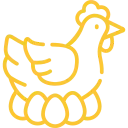 chicken-1